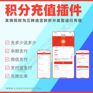 【亮剑】积分充值 2023123001(aljpay)-1